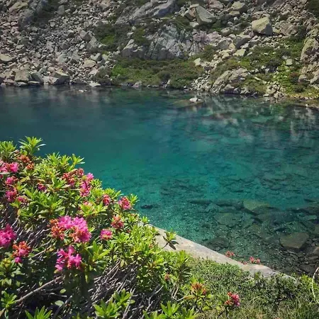 아파트 Rare 10 Person Apartment-terrace-parking-pool